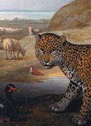 The Peace of Wild Things