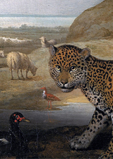 The Peace of Wild Things